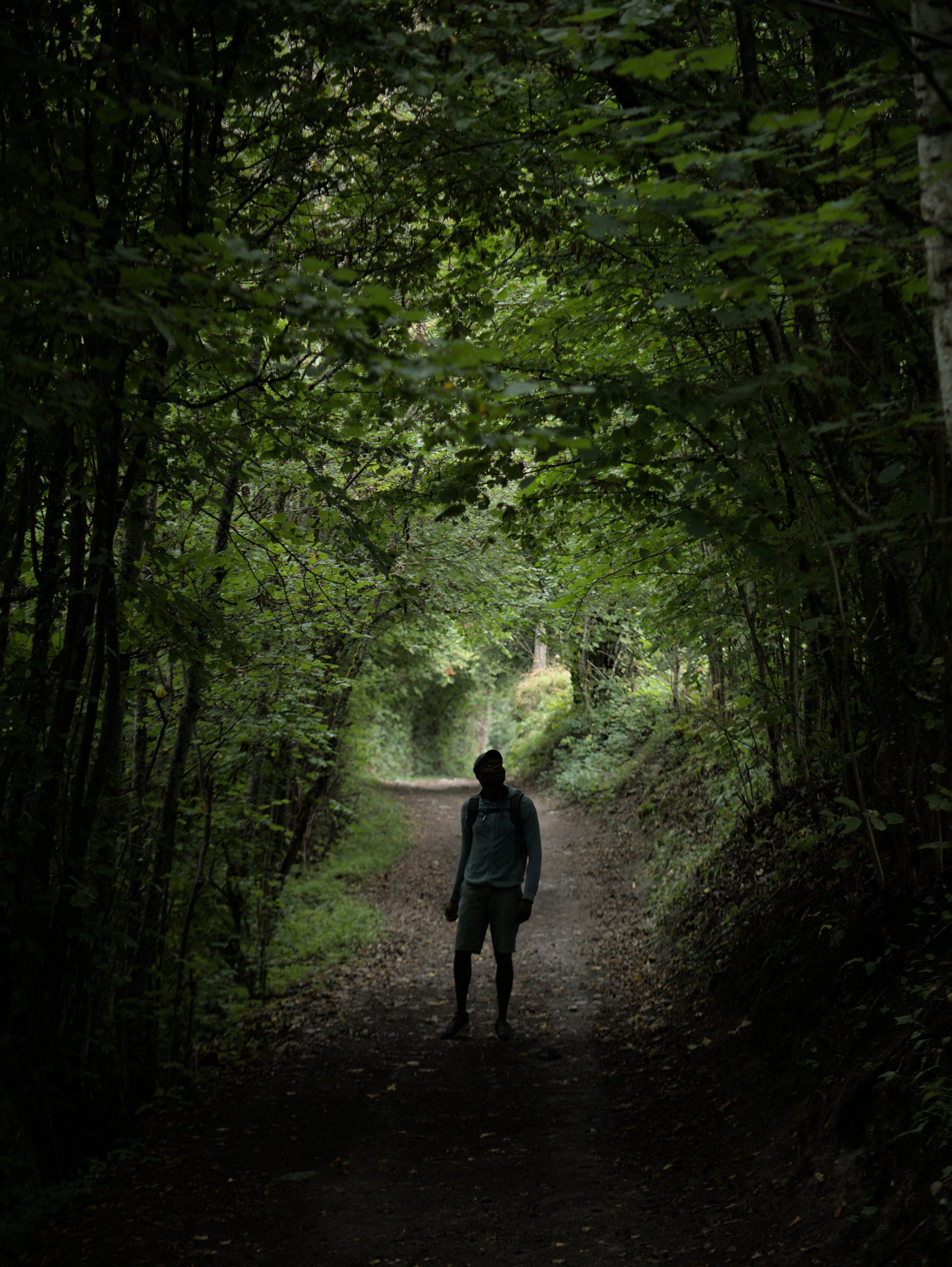 homme seul dans la foret avant retouche